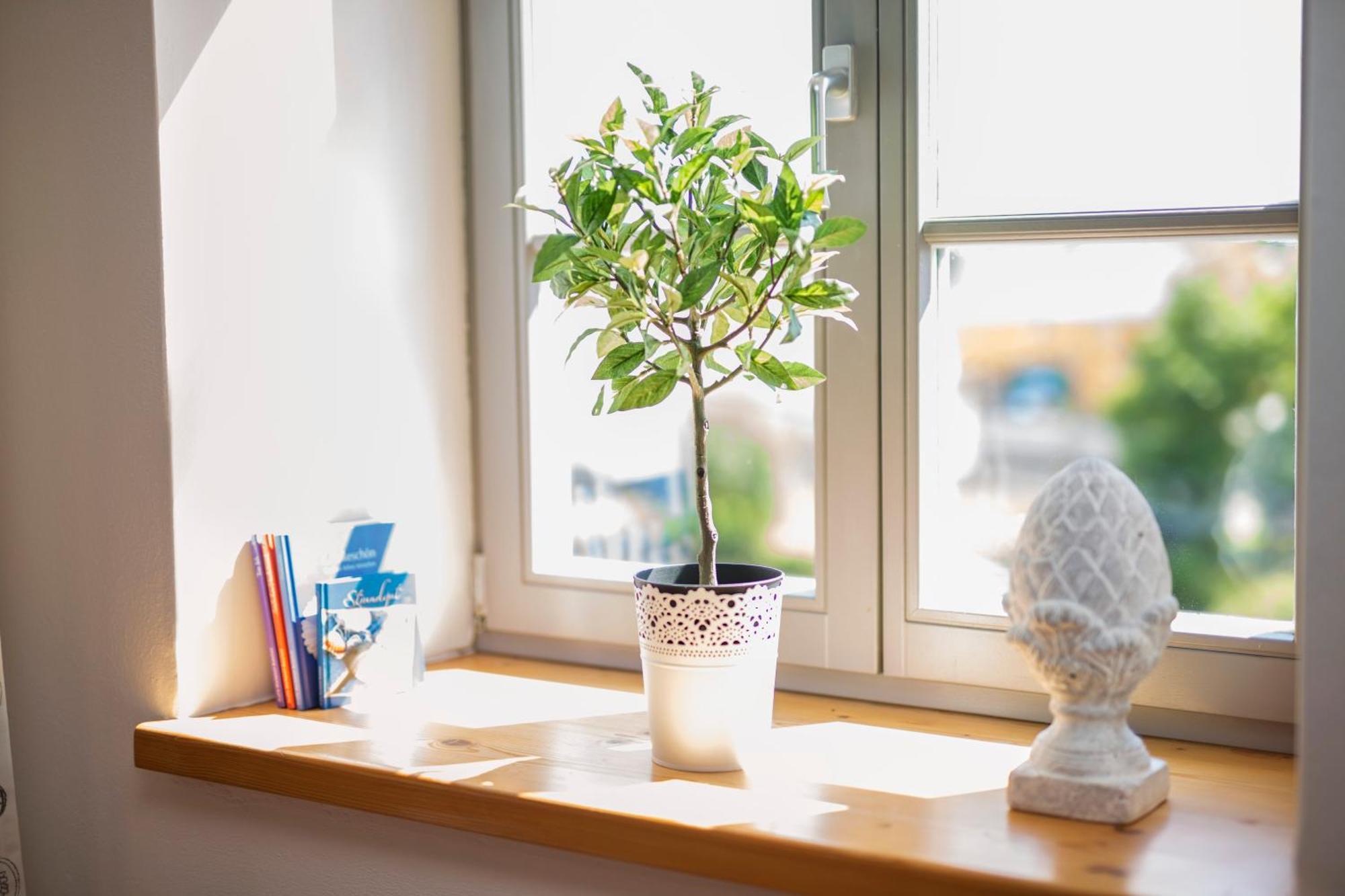 Landgut Mosch Apartman Radeburg Kültér fotó